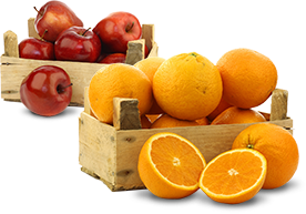 fruit1